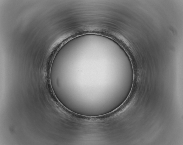 X0000115040922200911091401