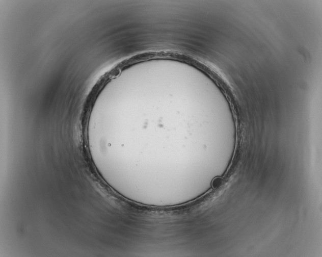 X0000115040927200911091401