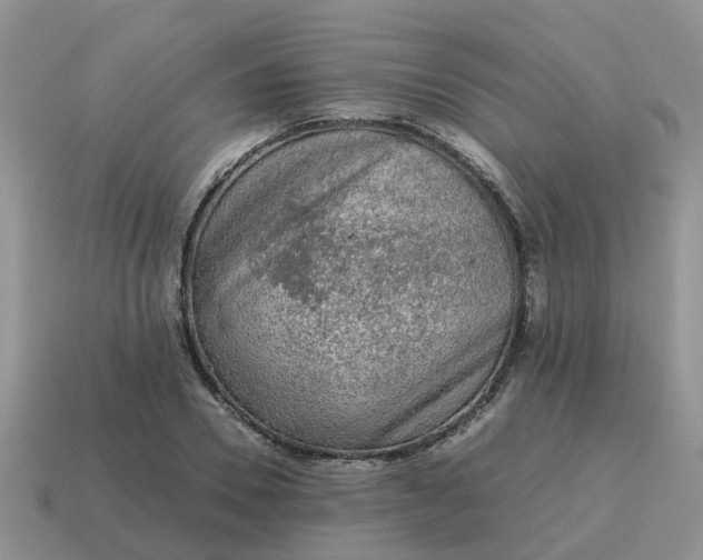 X0000115040930200911091401