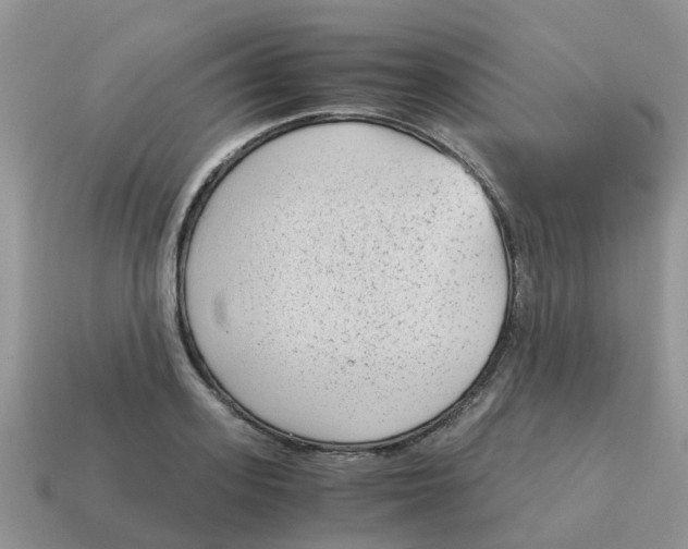 X0000115040939200911091401