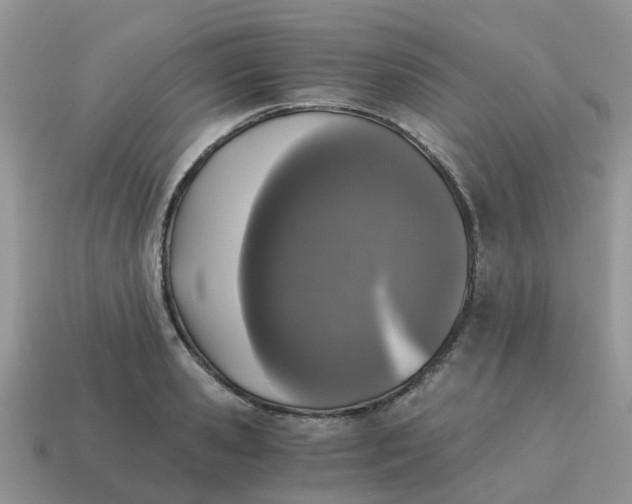 X0000115040941200911091401