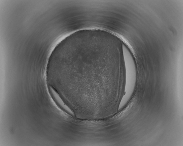 X0000115040943200911091401