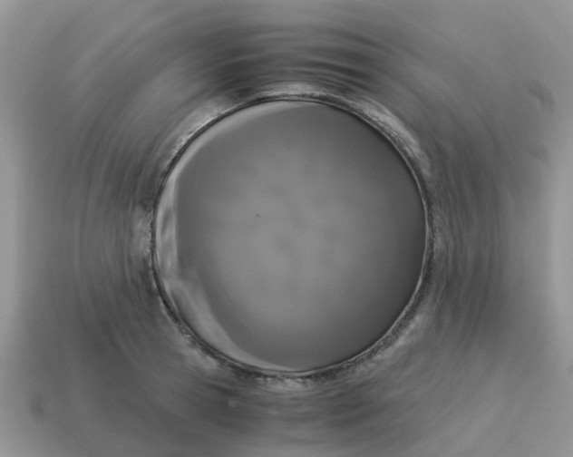 X0000115040945200911091401