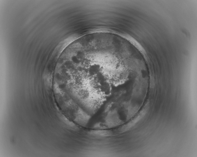 X0000115040953200911091401
