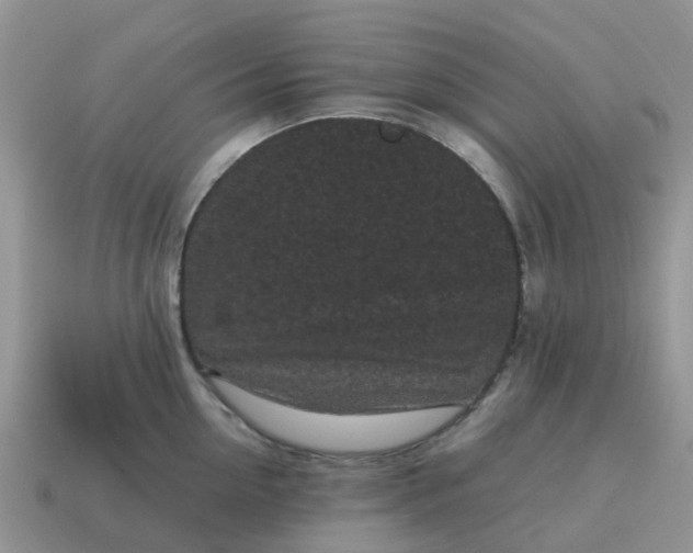 X0000115040954200911091401