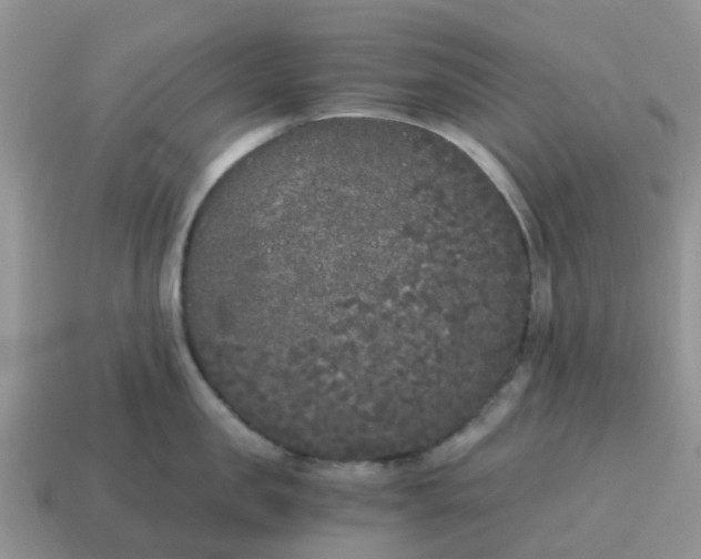 X0000115040957200911091401