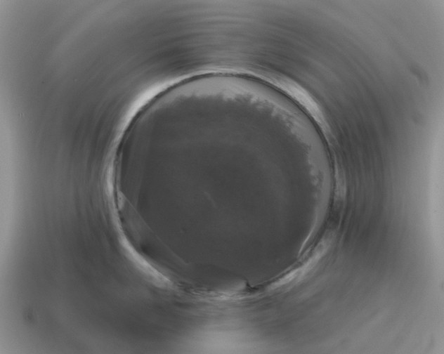 X0000115040958200911091401