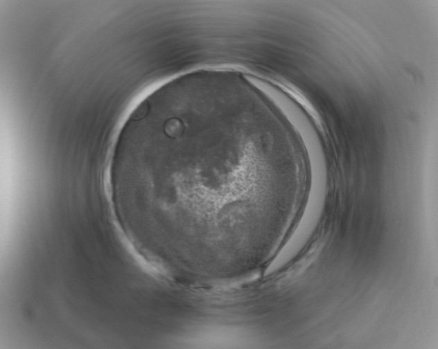 X0000115040959200911091401