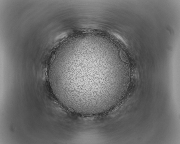 X0000115040965200911091401