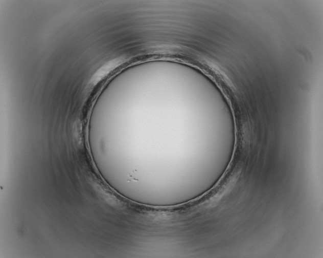 X0000115040970200911091401