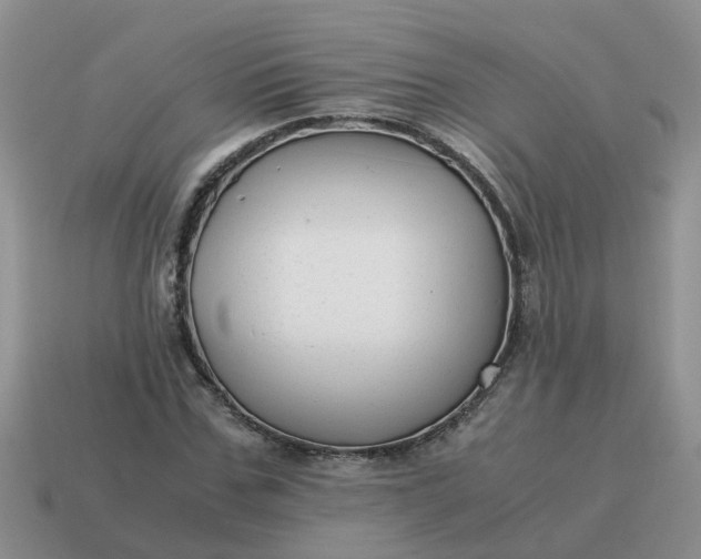 X0000115040971200911091401