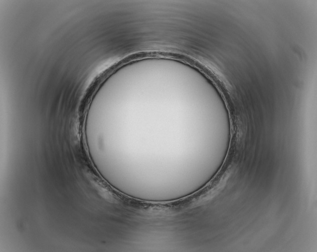 X0000115040974200911091401