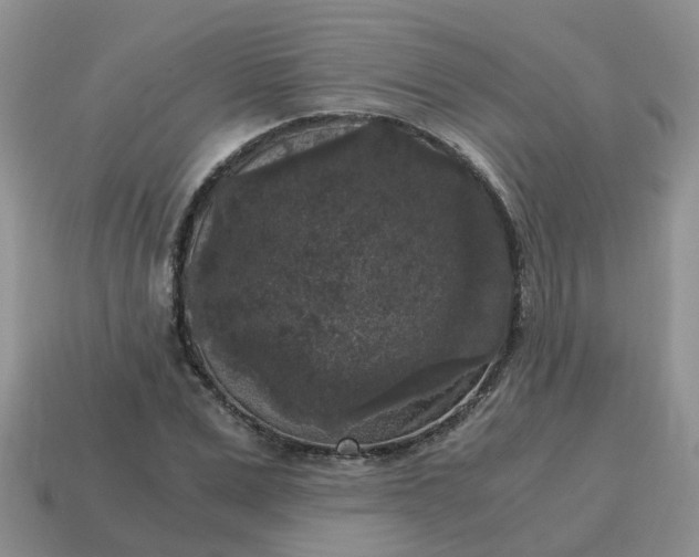 X0000115040975200911091401