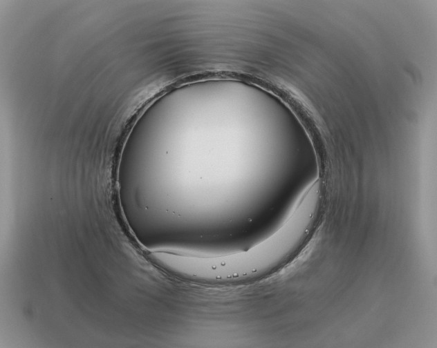 X0000115040977200911091401