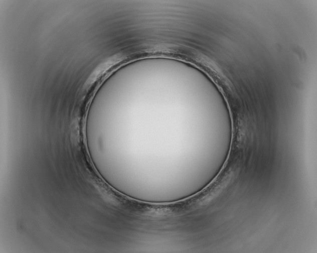 X0000115040978200911091401