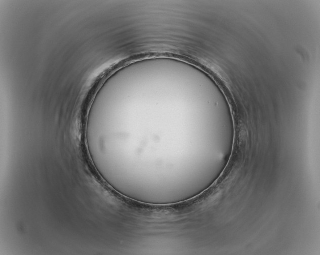 X0000115040979200911091401
