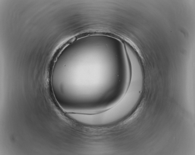 X0000115040981200911091400