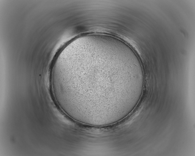 X0000115040987200911091400