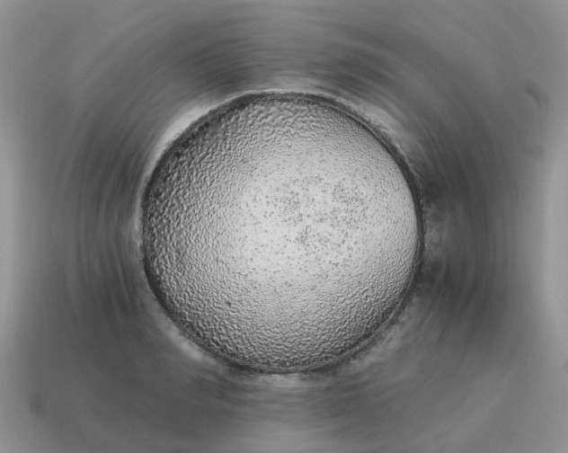 X0000115040990200911091400