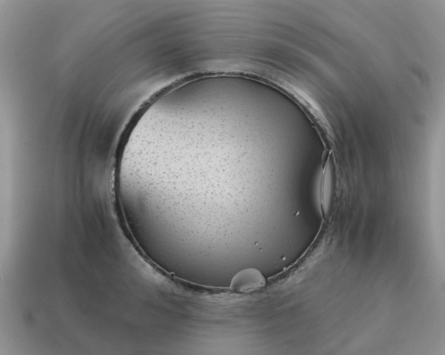 X0000115040992200911091400