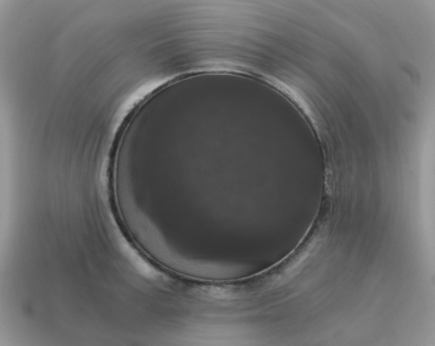 X0000115040995200911091400