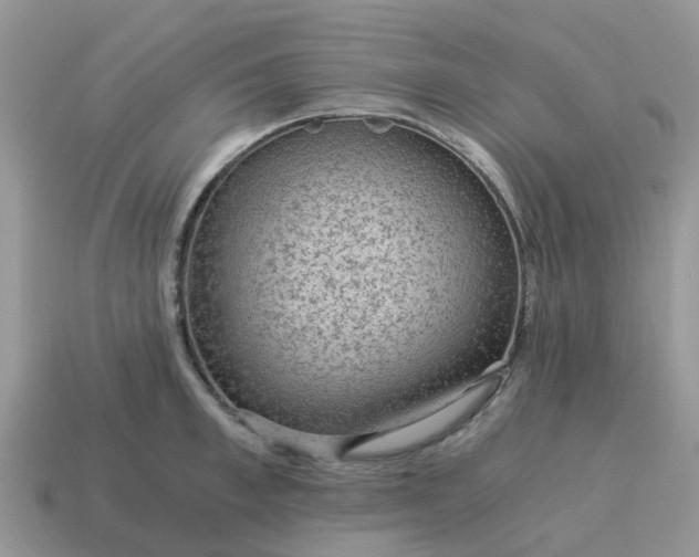 X0000115040997200911091400