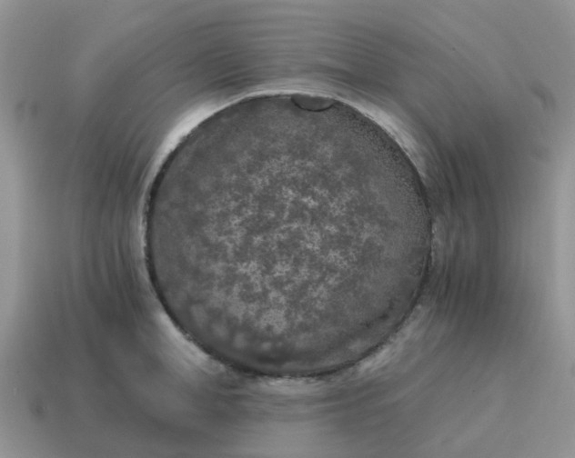 X0000115040998200911091400