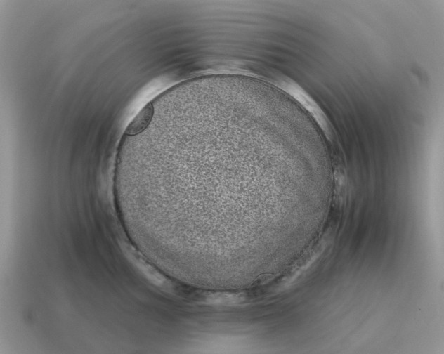 X0000115041002200911091400