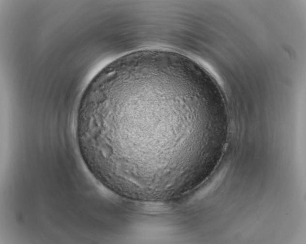 X0000115041007200911091400