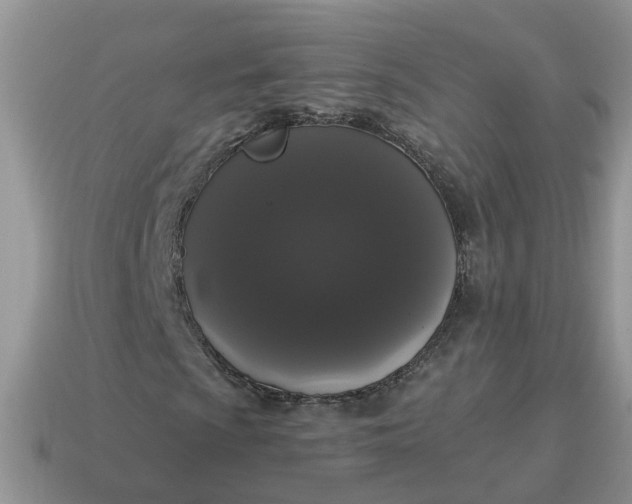 X0000115041009200911091359