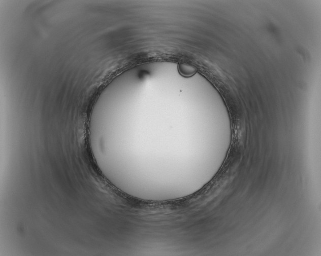 X0000115041012200911091359