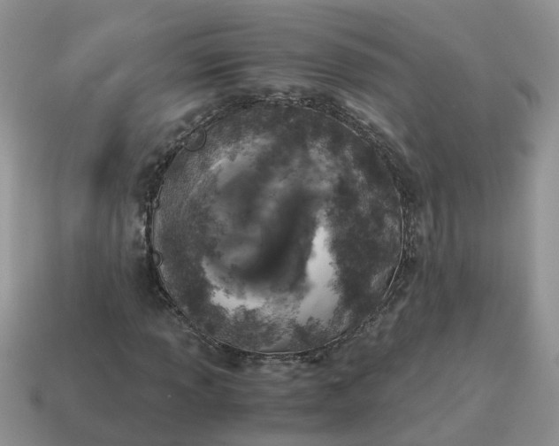 X0000115041013200911091400