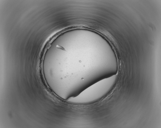 X0000115041020200911091400