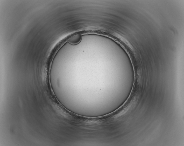 X0000115041021200911091400