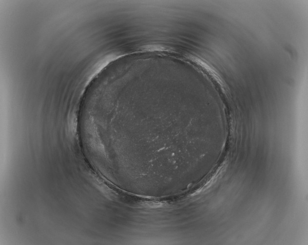 X0000115041023200911091400