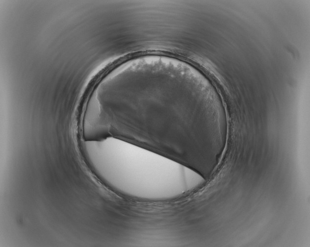 X0000115041024200911091400