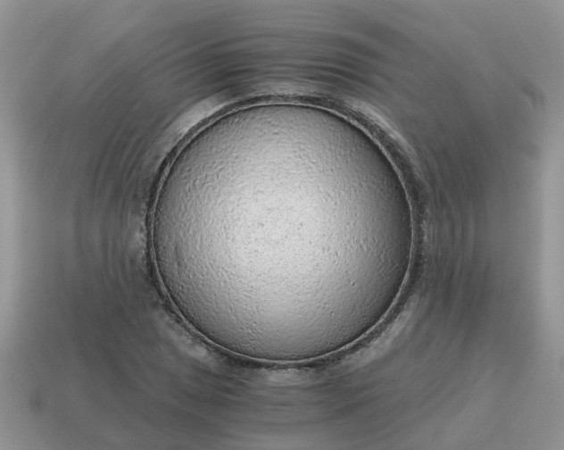X0000115041025200911091400