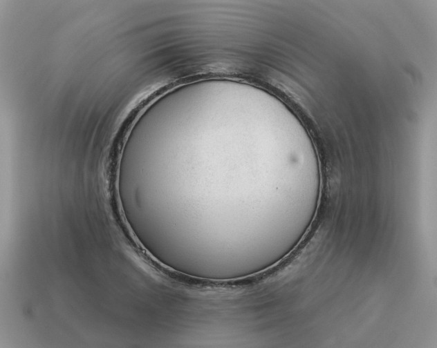 X0000115041026200911091400