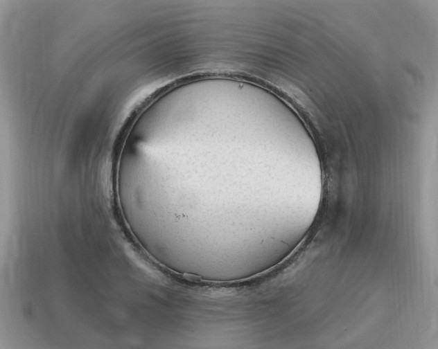 X0000115041030200911091400