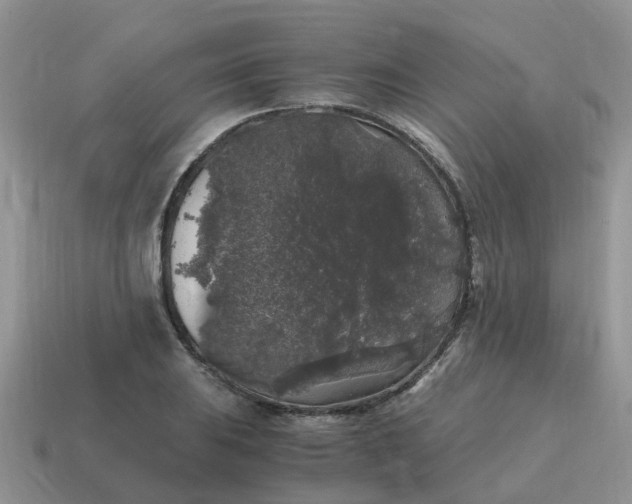 X0000115041031200911091400