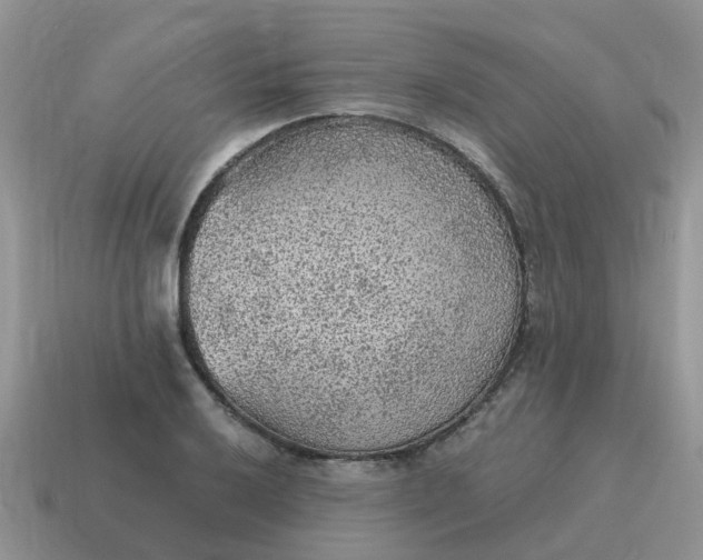 X0000115041032200911091400