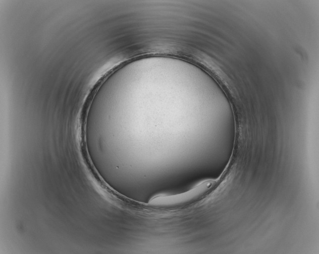 X0000115041034200911091400