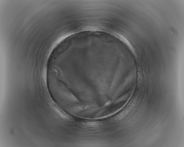 X0000115041035200911091400