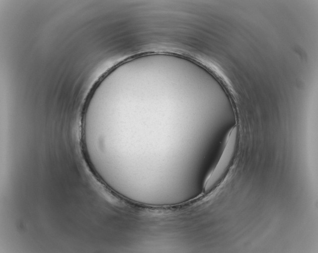 X0000115041040200911091400