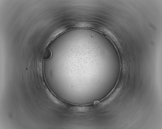X0000115041041200911091400