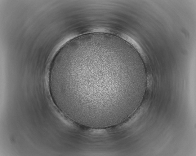 X0000115041043200911091400