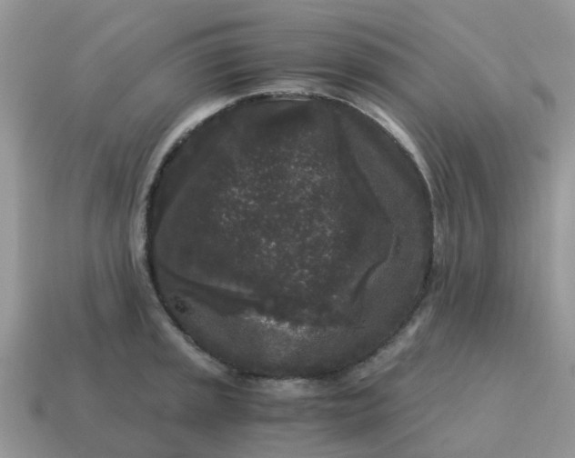 X0000115041045200911091400