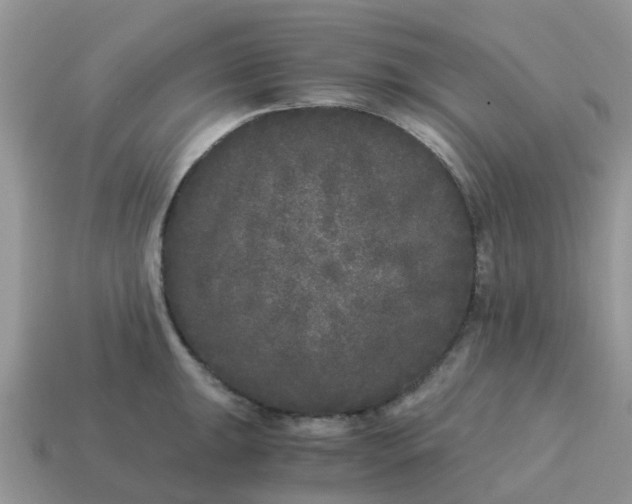 X0000115041047200911091400