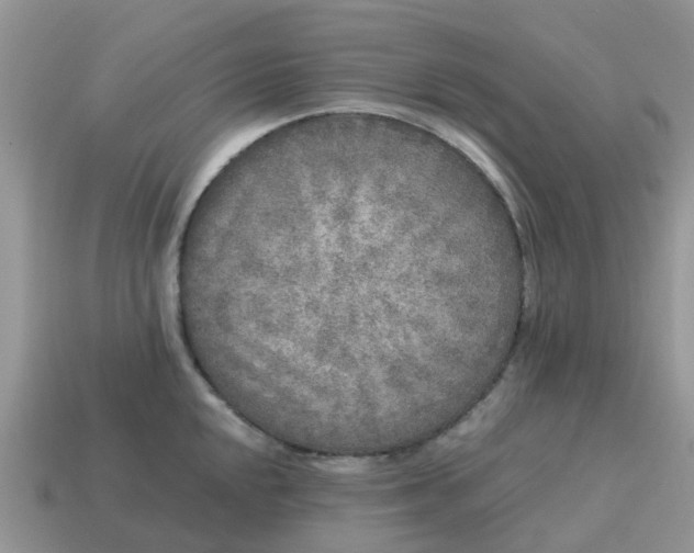 X0000115041048200911091400