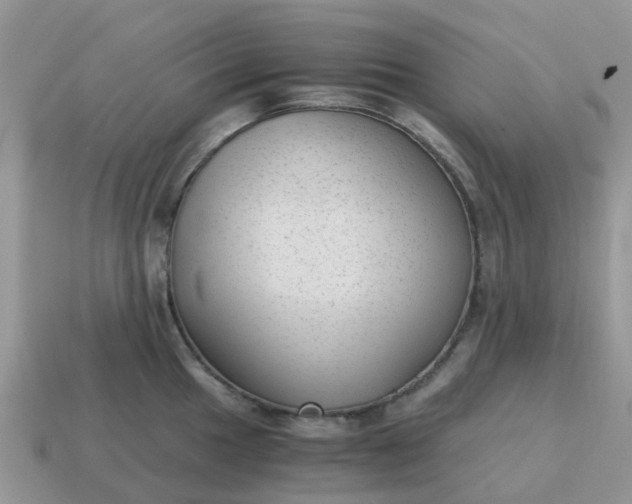 X0000115041049200911091400